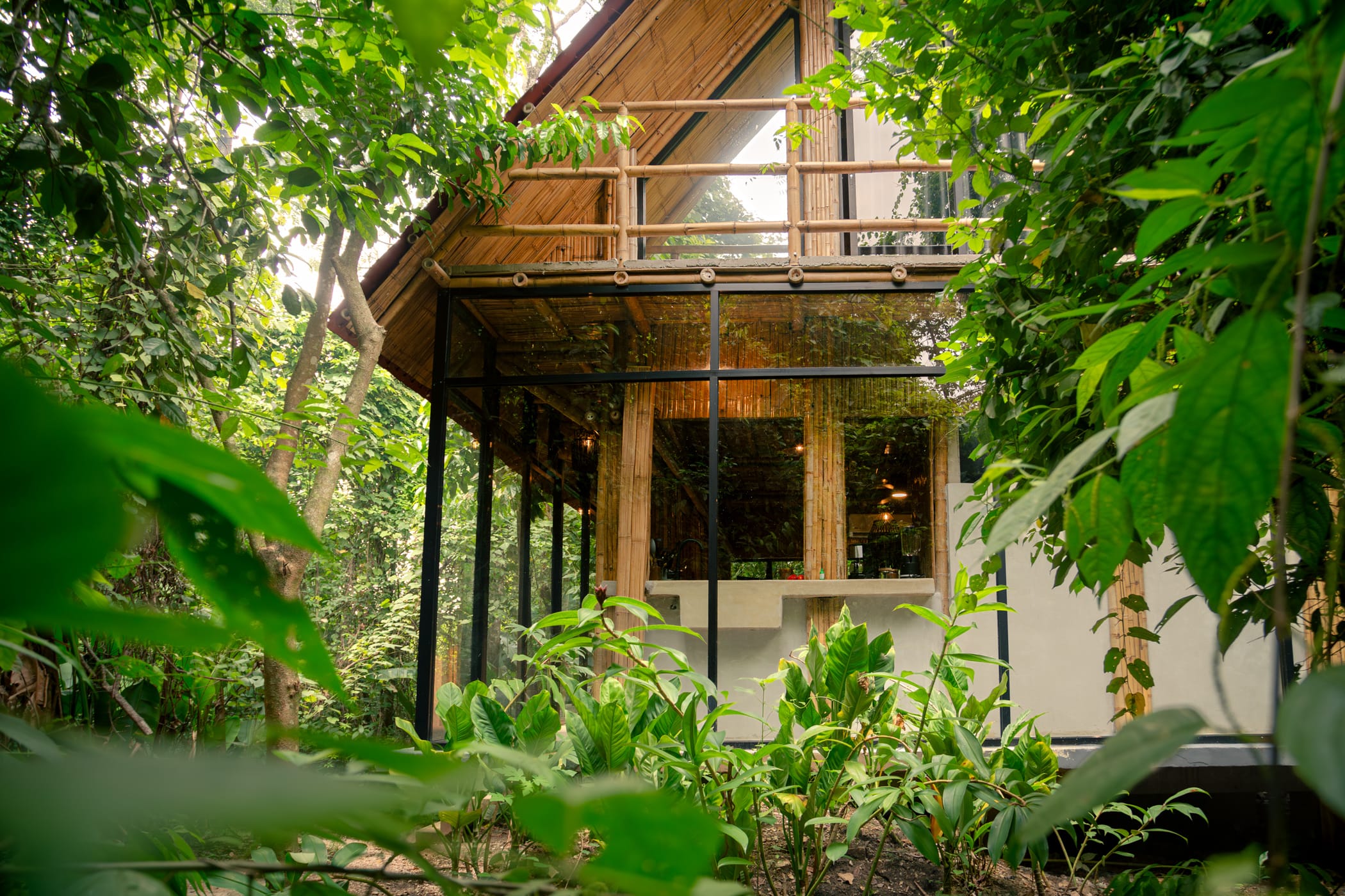 Ceiba-12