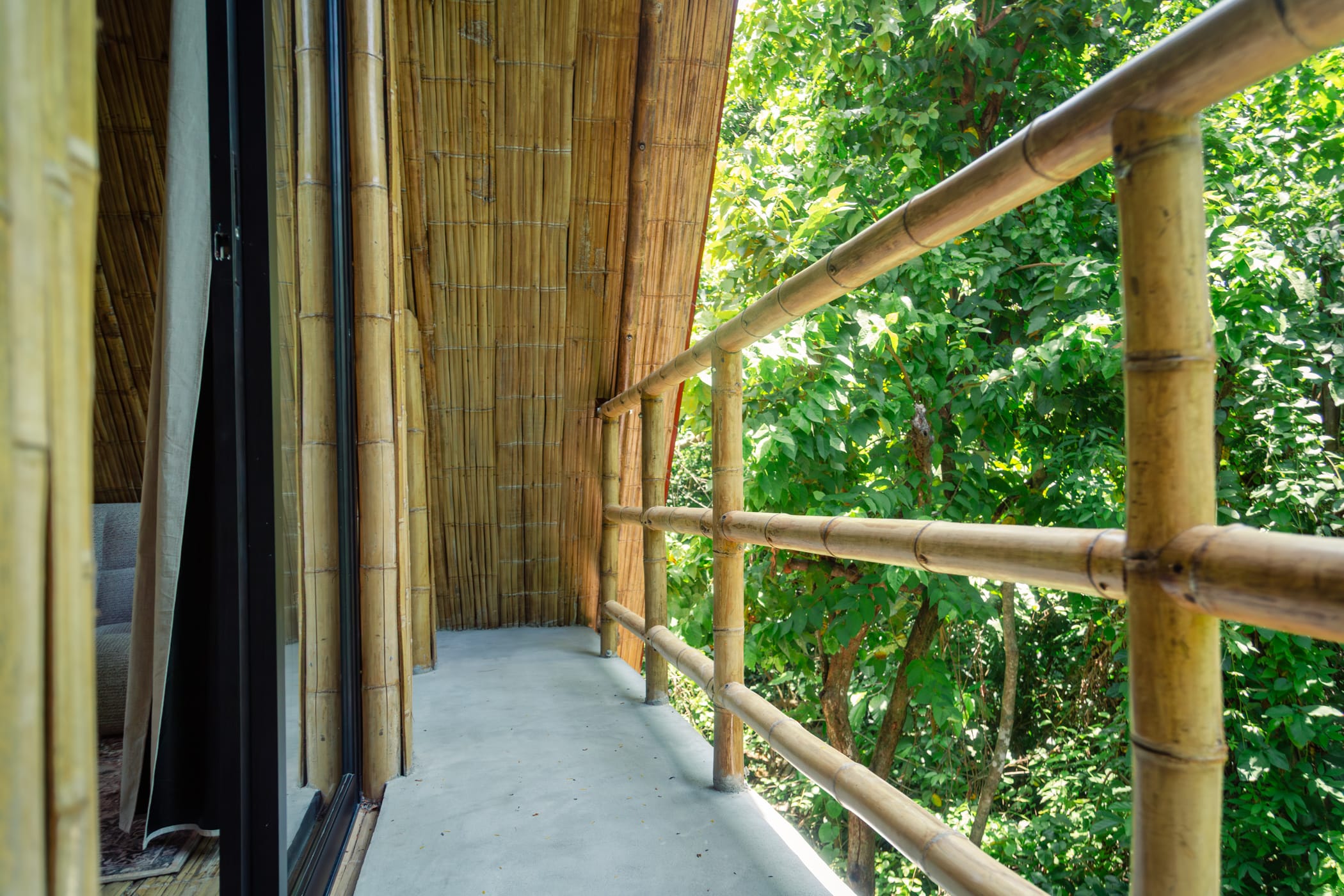Ceiba-6