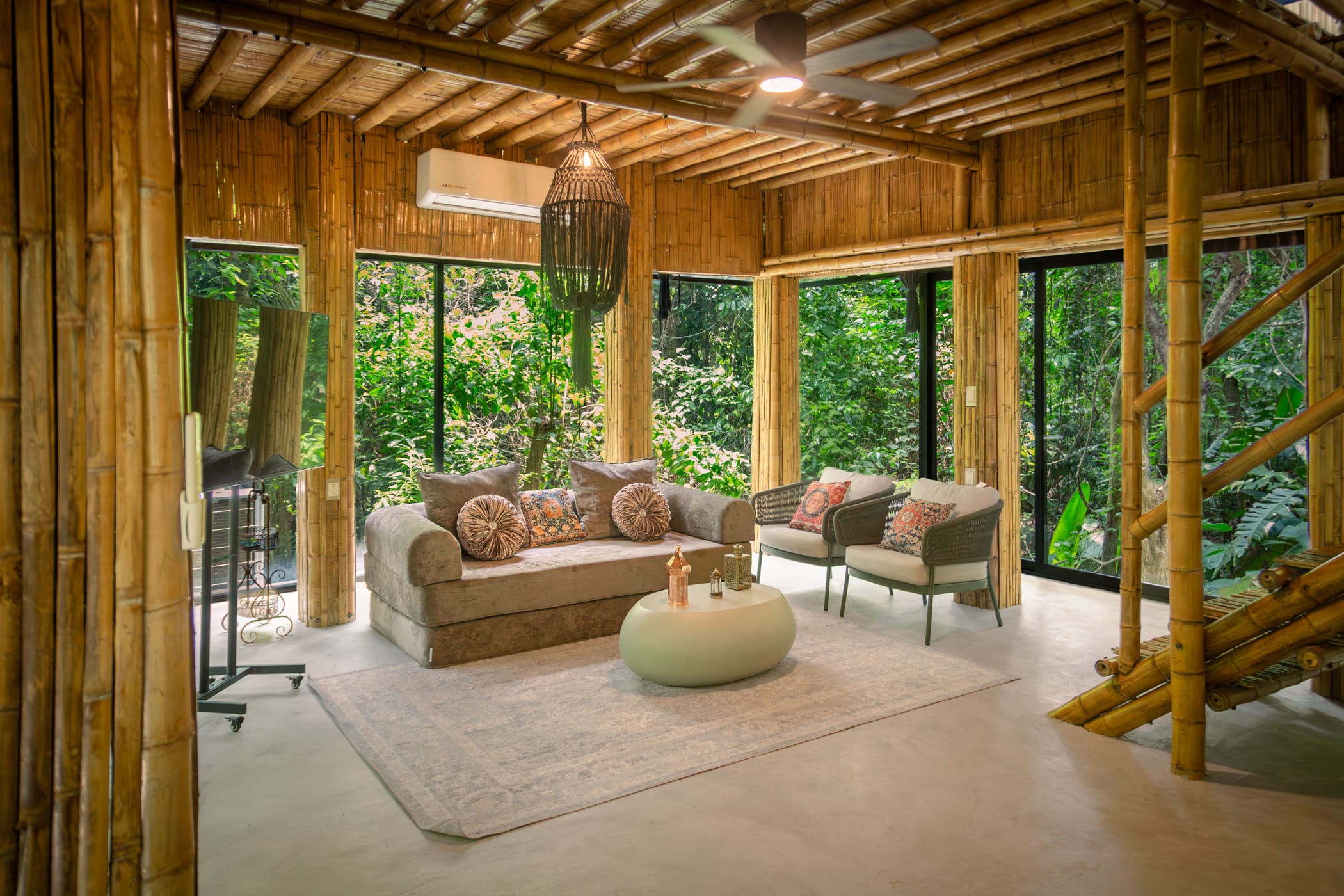 Ceiba-7