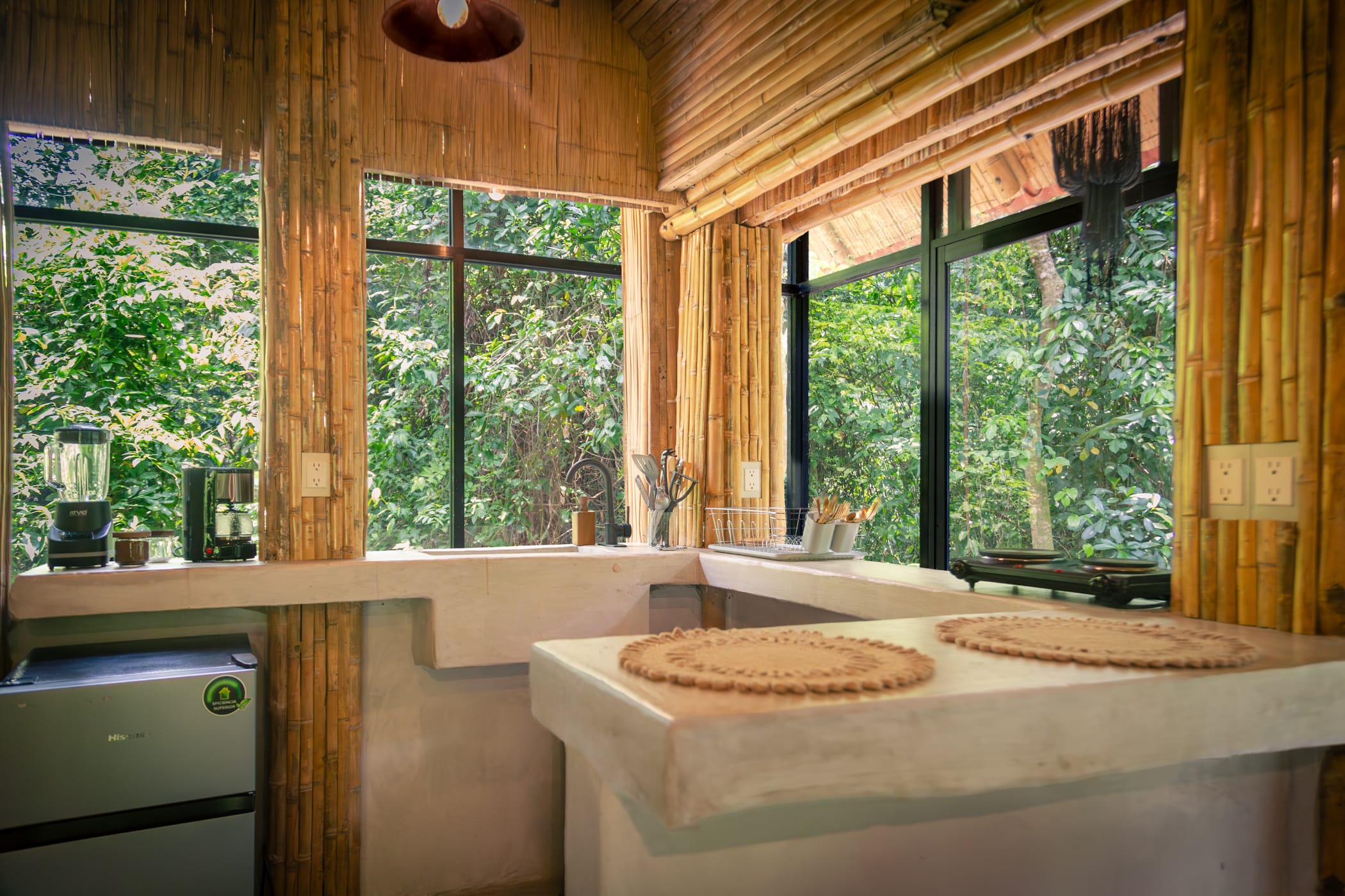 Ceiba-9